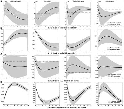 Economic uncertainty and population health: insights from emerging markets and developing countries